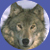 Click here to read the profile of wolf_eye