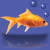 Click here to read the profile of goldfishstar
